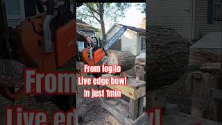 From Log to Live Edge Bowl In 1min woodworking woodturning shorts craft [upl. by Anemaj174]