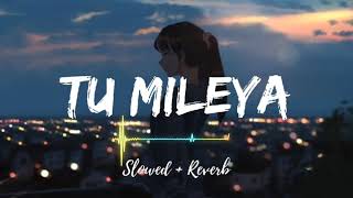 Tu mileya  lofi song slowed version  dharshan raval viral trending new [upl. by Bela]