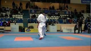 Karate1 PL Paris 2013  Kumite male 84 FINAL  ARKANIA vs REIS [upl. by Down]