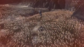 SekiroRealistic and Cinematic fight against Isshin Ashina NO HUD [upl. by Fenwick177]