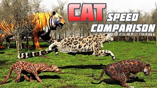 Big Cat SPEED COMPARISON wildlife 3D  Tiger  Lion Cheetah [upl. by Nicol]