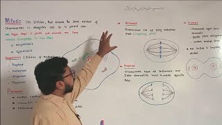 Mitosis  Prophase  Metaphase  Anaphase  Telophase  FScBiology [upl. by Hullda]