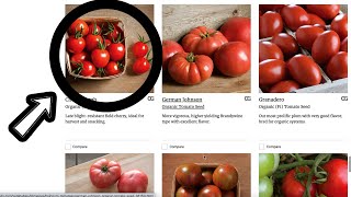 2023 TOMATO SEEDS  Choosing 4 Varieties from the Seed Catalog  Homestead Garden  Johnnys [upl. by Rolph]