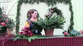 How to Make A Christmas Container Garden [upl. by Corabel]