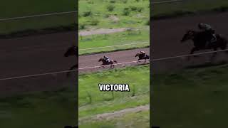 Velocidad Maxima Caballos bailadores  Sinaloa [upl. by Kimura]