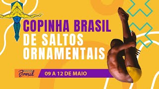 Copinha Brasil de Saltos Ornamentais 2024  DIA 12 [upl. by Rexford]