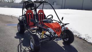 200cc Fully automatic go kart with reverse [upl. by Sixel560]