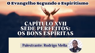 Os Bons Espíritas  Cap XVII Item 4 O Evangelho Segundo o Espiritismo Palestrante Rodrigo Mella [upl. by Lenahtan]