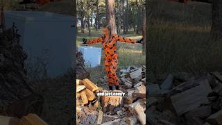 What is it woodchopping axe ootd jumpsuit help shorts woodsplitting funny [upl. by Pen378]