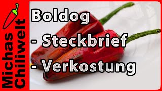 Boldog  Steckbrief und Verkostung  Chili Sorten  Hungarian Spice [upl. by Ynnor135]