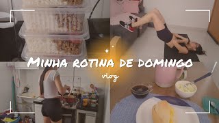 MARMITAS DA SEMANA  TREINO  SUPERANDO A ANSIEDADE  ORGANIZEI O APÊ dailyvlog [upl. by Amron]