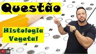 Histologia Vegetal  Características e Funções  Botânica  Questão [upl. by Shamrao676]