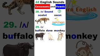 44 English Sounds 3  Consonants and Vowels [upl. by Acirred]