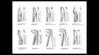 tooth extraction forceps armamentarium types of forceps and technique of usage Exodontia [upl. by Nwahs]