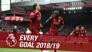 All 89 of Liverpools Premier League goals from the 201819 season [upl. by Murdock]