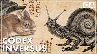 The Creatures of Codex Inversus [upl. by Ylesara332]