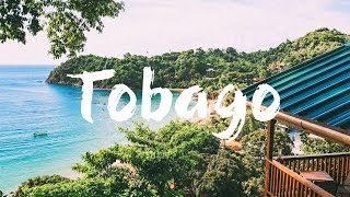 TOBAGO  TOP 10 THINGS to See amp Do  Travel Guide [upl. by Hak]