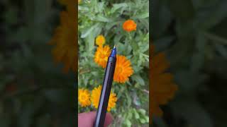 Pentel energel 7 pen review shortstrendingviralexplorepenseducationstudentsartcraftdiy [upl. by Eirrab]