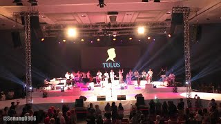 Tulus  Jangan Cintai Aku Apa Adanya  Konser Gajah Tulus HD [upl. by Trah]