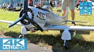 DOUGLAS A1 SKYRAIDER 156 MARTIN ERHARD GER F4 SCALE WORLD CHAMPIONSHIP 2018 MEIRINGEN 4K [upl. by Wicks771]