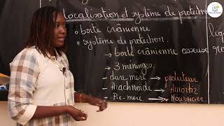 Cours  Terminale L  SVT  Organisation du système nerveux cérébrospinal des mammifères Mme Cissé [upl. by Navap]