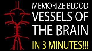 MNEMONIC Brains Blood Supply MEMORIZE in 3 Minutes [upl. by Ingrim]