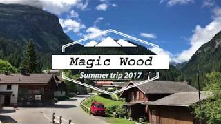 Magic Wood 2017 [upl. by Anina818]