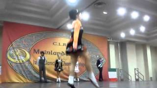 Oireachtas senior parade of champions 2015 [upl. by Bastian]