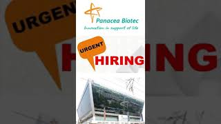 Freshers Job Panacea Biotec is Hiring fresher’s Biotechnology and Microbiology Candidates Shorts [upl. by Berlin521]