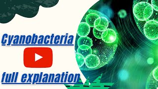 Cyanobacteria  Blue green algae  full explanation of Cyanobacteria [upl. by Neeneg]