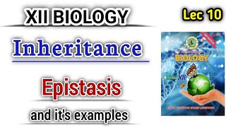 Epistasis and its examples lec 10 class 12 Inheritance [upl. by Airot]