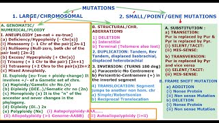 Classification of Mutation by JJS Sir for Class 12 NEET KVPY OLYMPIADS [upl. by Krista708]