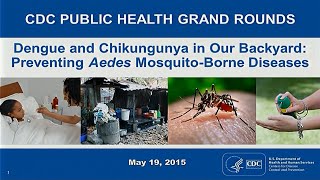 Dengue and Chikungunya in Our Backyard Preventing Aedes MosquitoBorne Diseases [upl. by Arnie239]