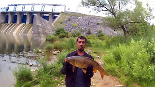 Carp Fishing  Fanshawe Conservation London Canada [upl. by Veronike847]