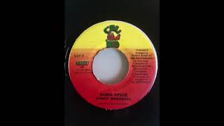 Bobo Spice Riddim Mix Cali Bud Production 2000 [upl. by Jueta]