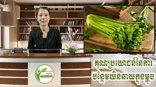 អត្ថប្រយោជន៍របស់ឃិនឆាយ  Benefits of Chervil  Khin Chhay [upl. by Janine]