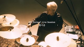 쏜애플THORNAPPLE 할시온 EP Animal Live Session [upl. by Mcgruter]