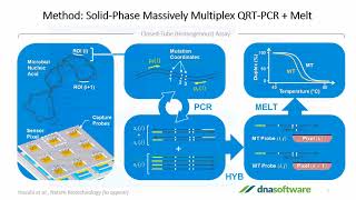 Multiplex PCR Assay Design Made Easy [upl. by Clothilde]