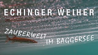 Tauchen im Echinger Weiher – Zauberwelt im Baggersee [upl. by Priebe972]