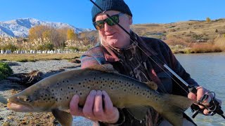 Autumn NZ Brown Trout in the shallows before release [upl. by Eibmab233]