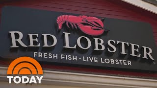 Red Lobster CEO talks comeback new menu endless shrimp [upl. by Lora]