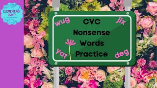 CVC Nonsense Words Practice 3 no music AcadienceDibels NWF [upl. by Nollid997]