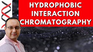 Hydrophobic Interaction Chromatography [upl. by Thynne]