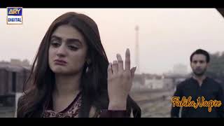 Do Bol full song Hira Mani Affan Waheed [upl. by Orips]