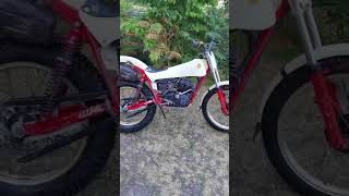 1981 Montesa 349 trials bike [upl. by Aksehcnarf]