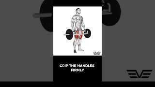 Trap Bar Deadlift trapbardeadlift deadlift deadlifts trapbardeadlifts [upl. by Anoit591]