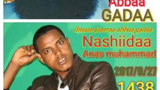 Anas muhammad  nashiidaa qabsoo  yoomuu hin sodaannu wayyaanee [upl. by Akeenat]