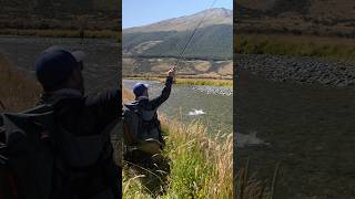 Dreaming of Dry Fly trout fishing newzealand [upl. by Delaryd]