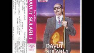 DAVUT SULARİDAGLAR SİZİ DELİK DELİK DELERİMwmv [upl. by Urbannal29]