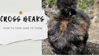 Cross Beaks Care [upl. by Hayley840]